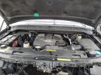 Lot #3024650655 2005 INFINITI QX56