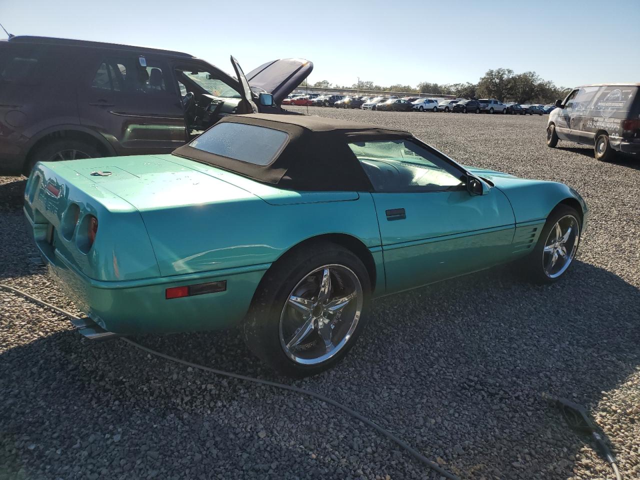 Lot #3024837410 1991 CHEVROLET CORVETTE