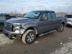 Lot #3024606613 2010 FORD F150 SUPER