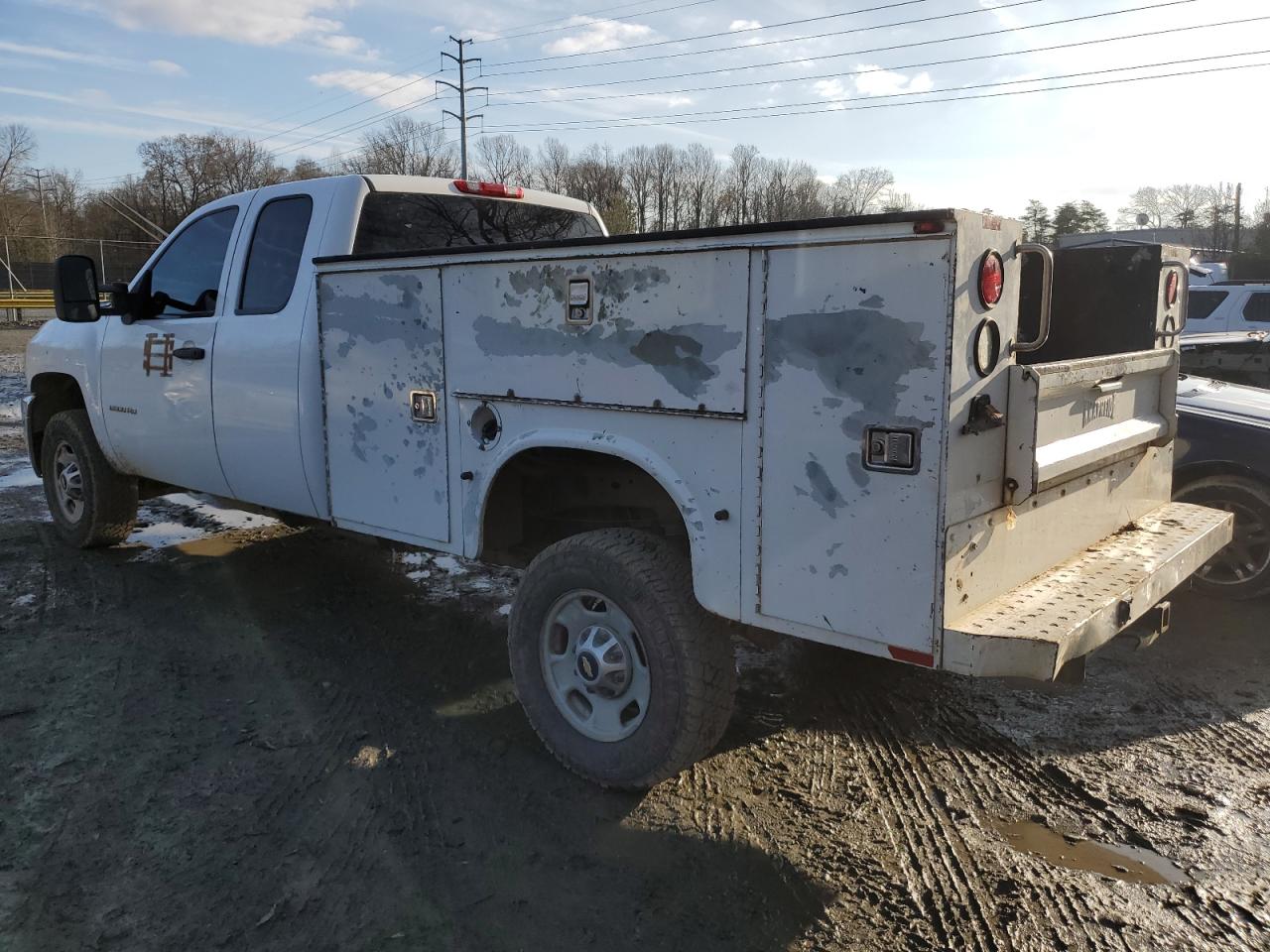 Lot #3033017993 2011 CHEVROLET SILVERADO