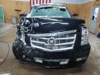 Lot #3028387799 2013 CADILLAC ESCALADE E