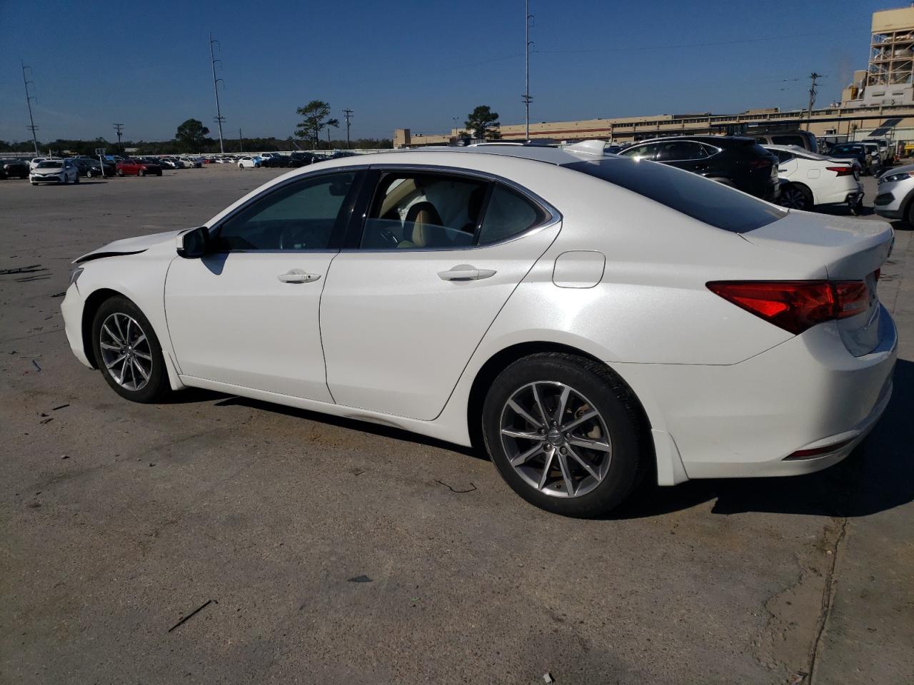 Lot #3042033219 2019 ACURA TLX