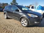 Lot #3023396305 2015 FORD ESCAPE SE