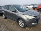 Lot #3024057666 2014 FORD ESCAPE SE