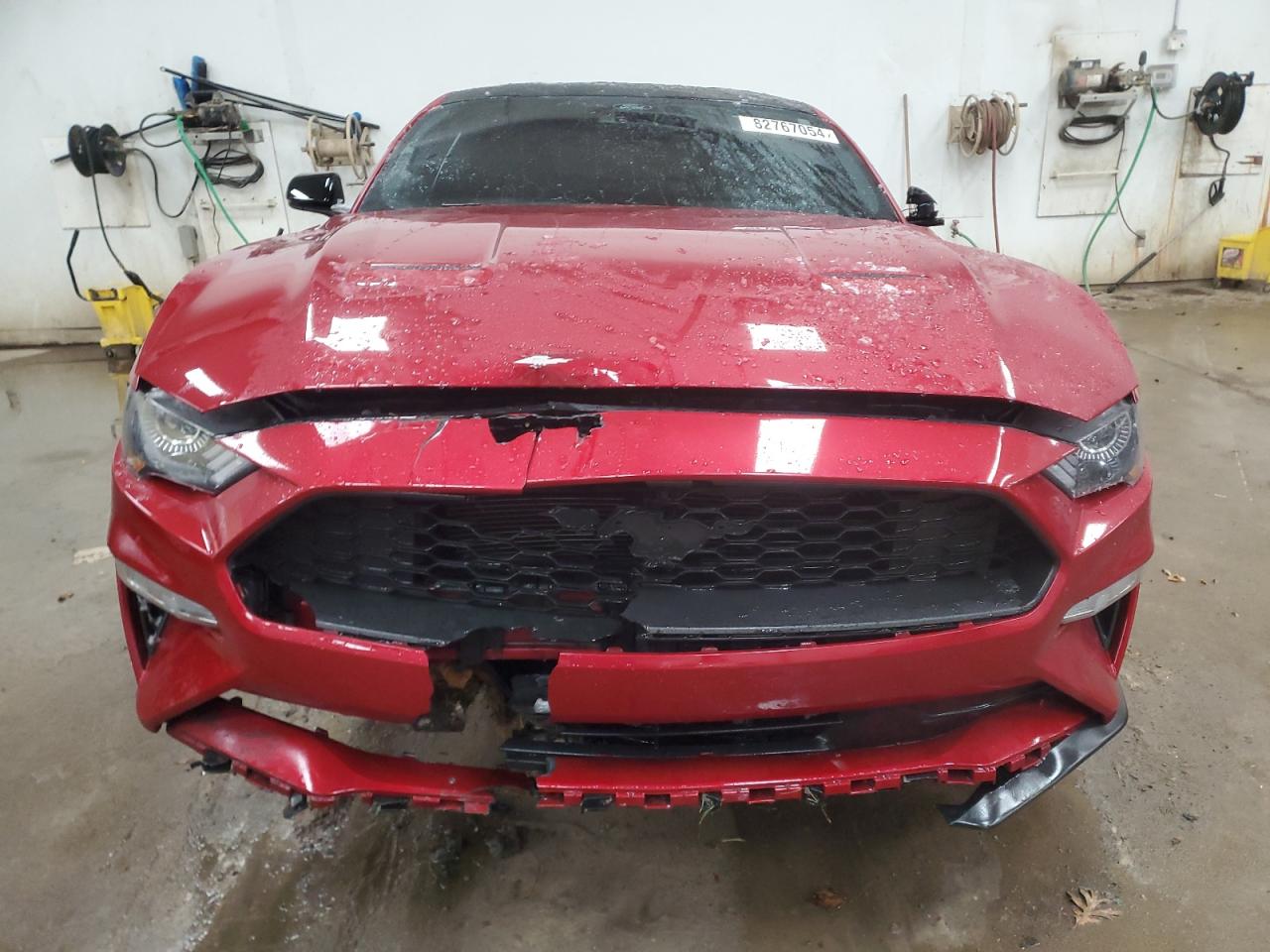 Lot #3024702601 2023 FORD MUSTANG