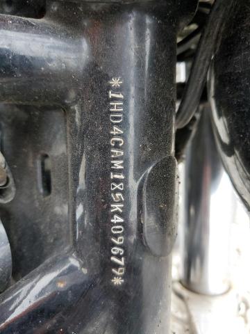 2005 HARLEY-DAVIDSON XL883 1HD4CAM185K409679