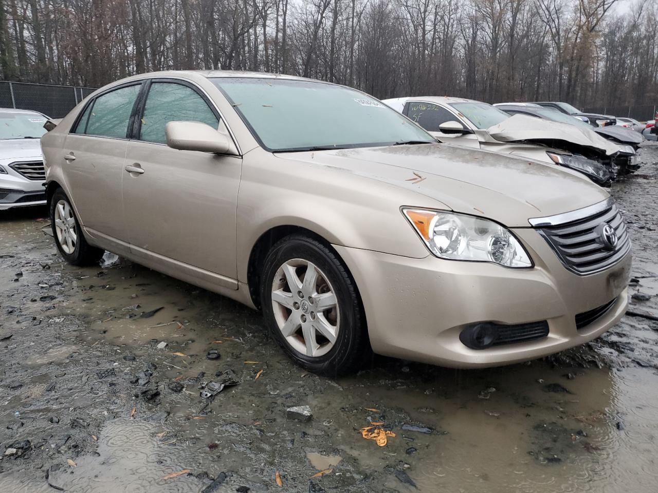 Lot #3037991198 2009 TOYOTA AVALON XL