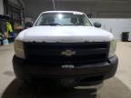 Lot #3023817901 2007 CHEVROLET SILVERADO