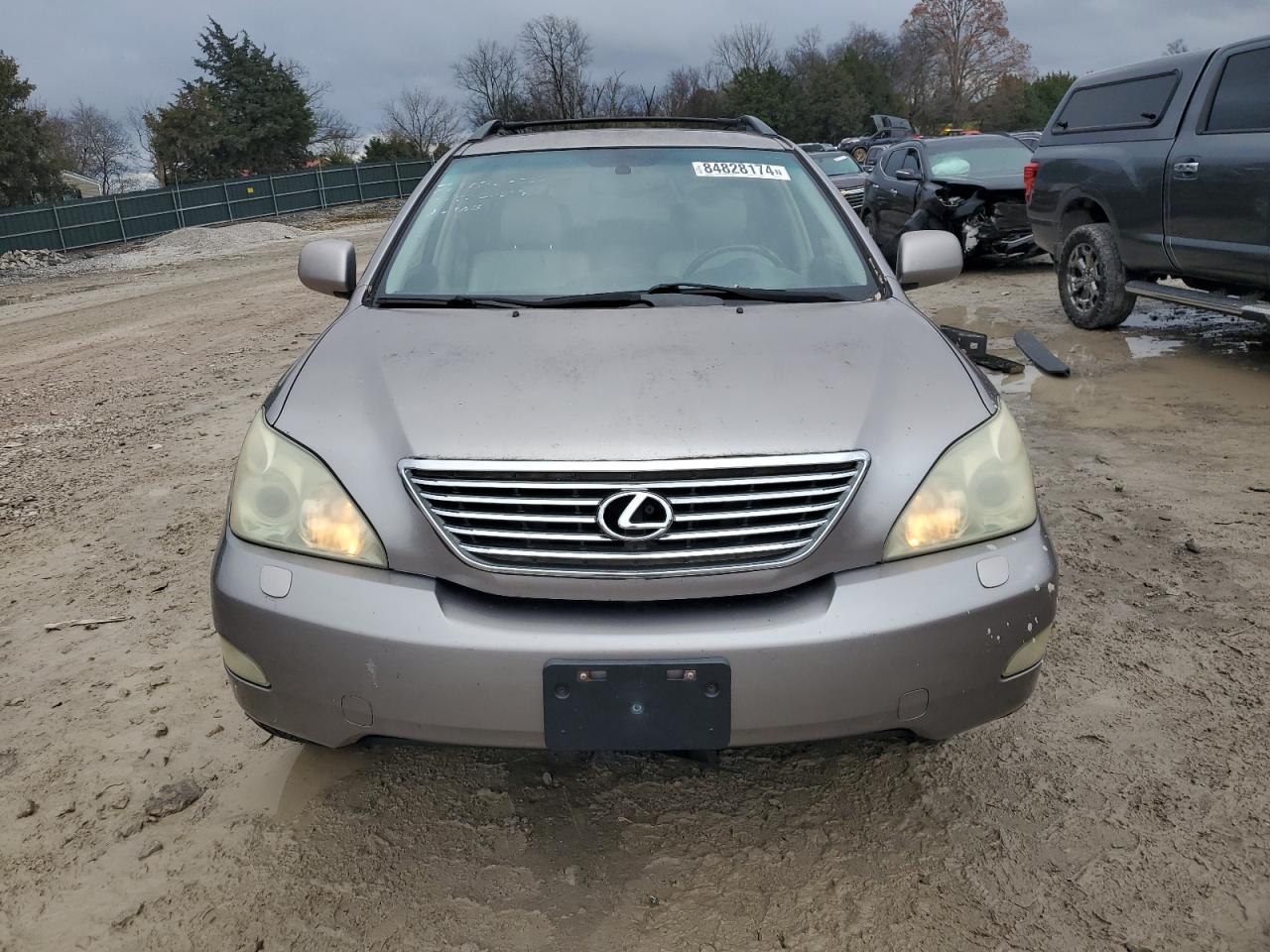 Lot #3048564902 2005 LEXUS RX 330