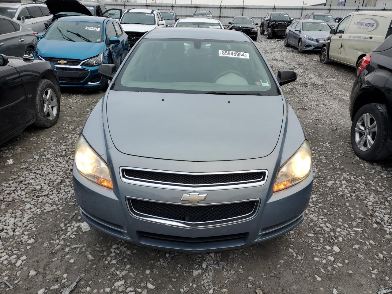 Lot #3034407067 2009 CHEVROLET MALIBU