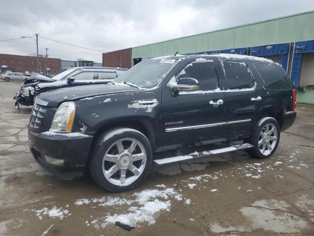 2010 CADILLAC ESCALADE P #3033015008