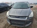 Lot #3024057666 2014 FORD ESCAPE SE