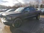 Lot #3024855391 2010 DODGE DAKOTA SXT