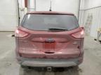 Lot #3033793741 2014 FORD ESCAPE SE