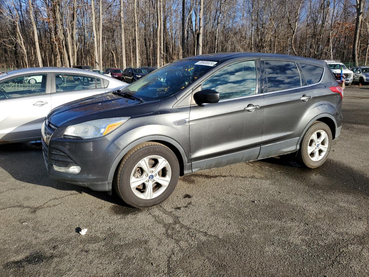 Lot #3029499407 2016 FORD ESCAPE SE