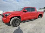 2024 TOYOTA TACOMA DOU - 3TYLB5JN5RT034660