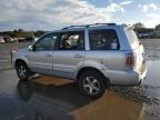 Lot #3024975129 2006 HONDA PILOT EX