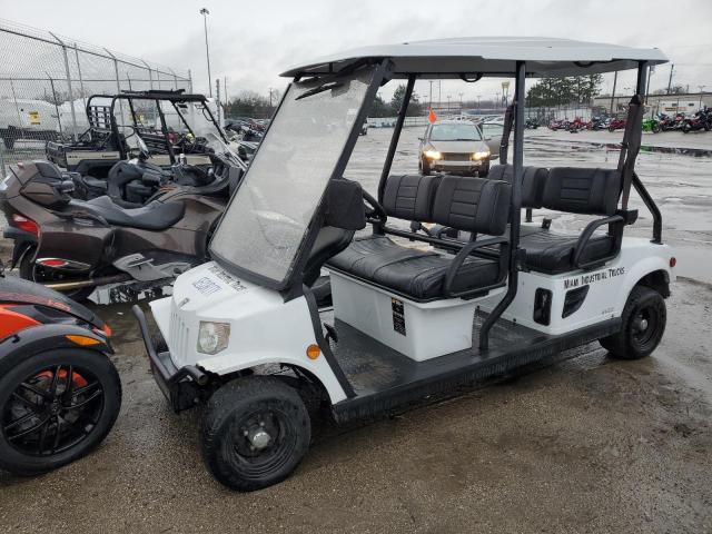 OTHER GOLF CART 2020 0000AF44BM1000145 photo #3