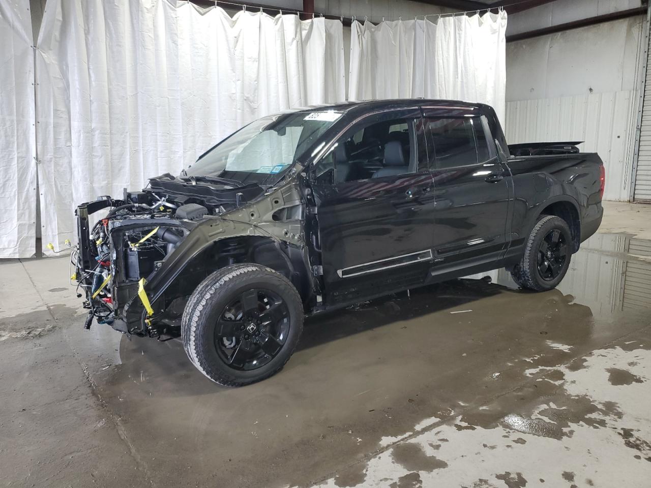 Lot #3037833296 2024 HONDA RIDGELINE