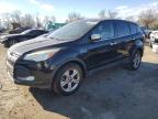 Lot #3024736319 2014 FORD ESCAPE SE