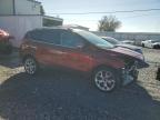 Lot #3026158305 2014 FORD ESCAPE TIT