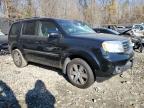 Lot #3024370558 2014 HONDA PILOT TOUR