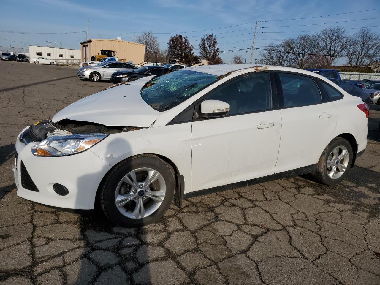 Lot #3028618974 2014 FORD FOCUS SE