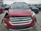 Lot #3027161311 2017 FORD ESCAPE TIT