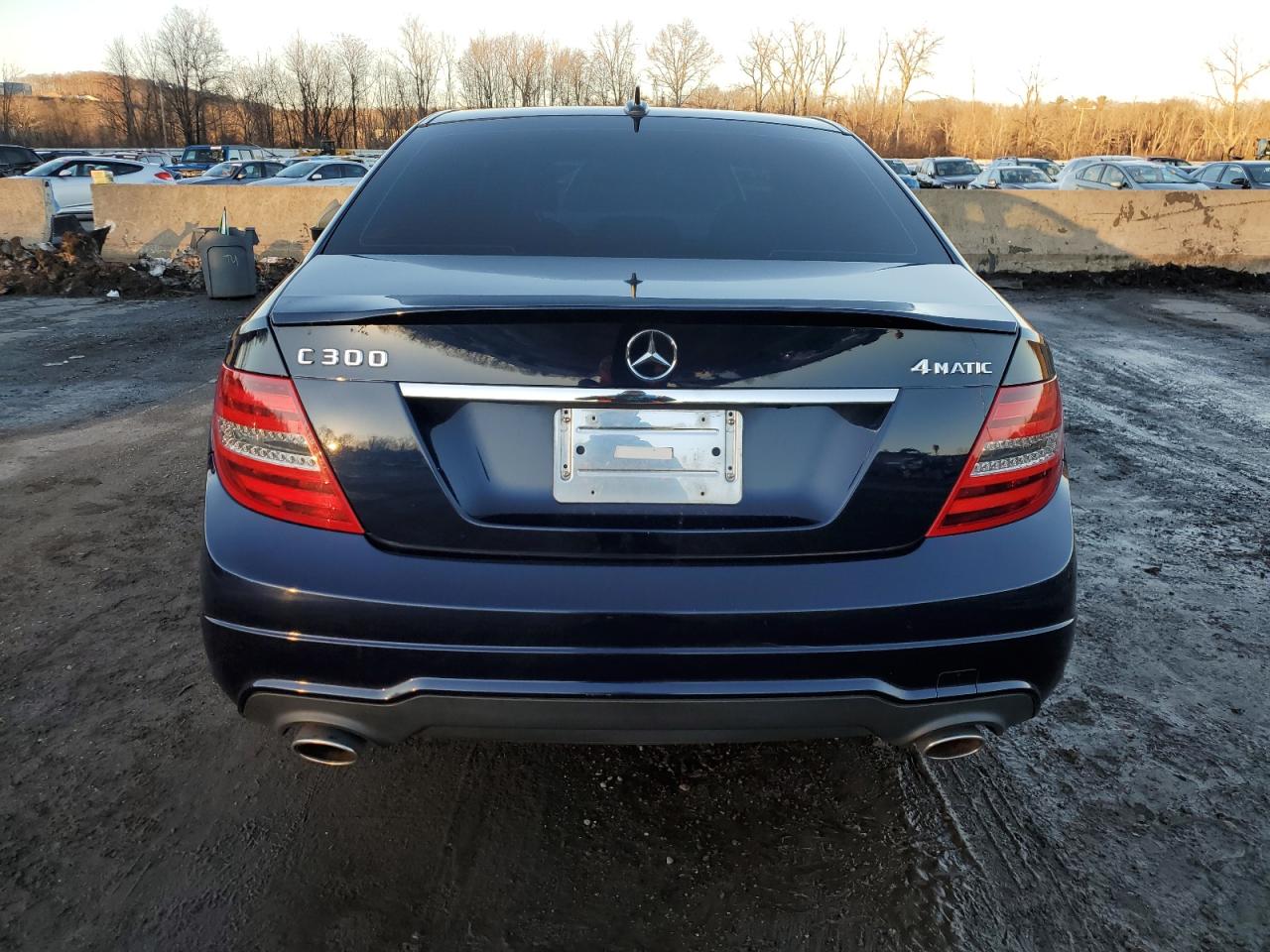 Lot #3033011999 2014 MERCEDES-BENZ C 300 4MAT