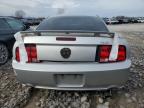 Lot #3025088228 2009 FORD MUSTANG GT