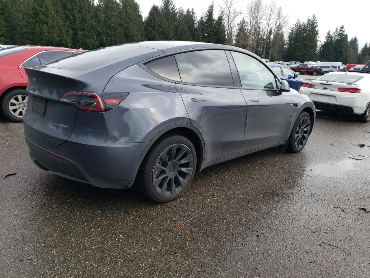 Lot #3034519738 2023 TESLA MODEL Y