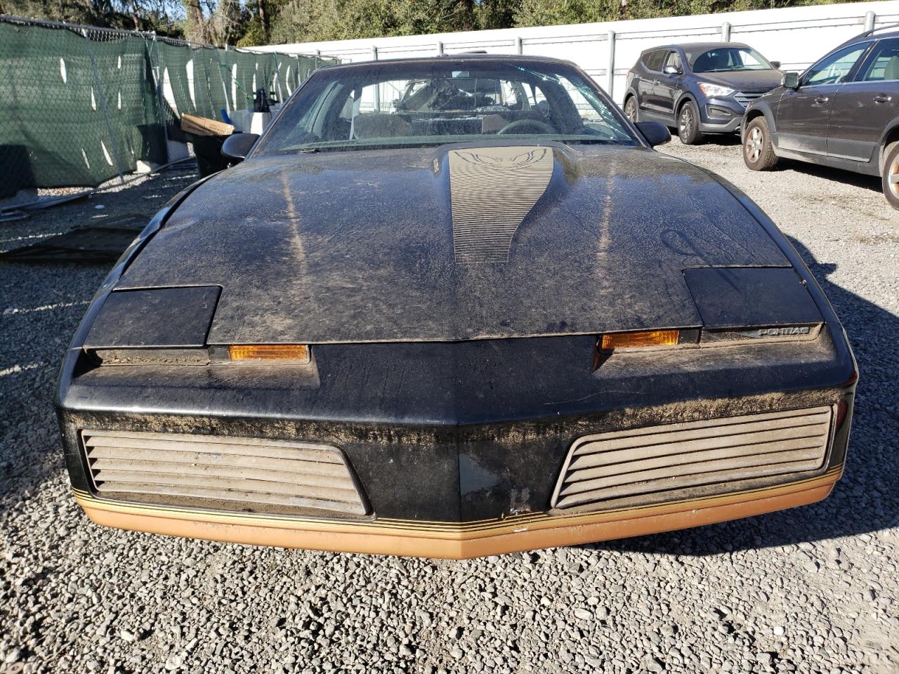 Lot #3031489818 1983 PONTIAC FIREBIRD T