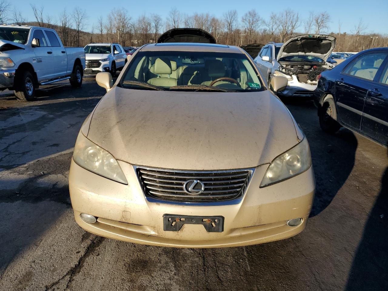 Lot #3033011994 2007 LEXUS ES 350