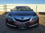 Lot #3024727765 2009 ACURA TL