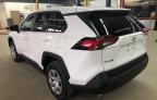 Lot #3024600755 2023 TOYOTA RAV4 LE