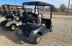 Lot #3024570692 2019 GOLF CART