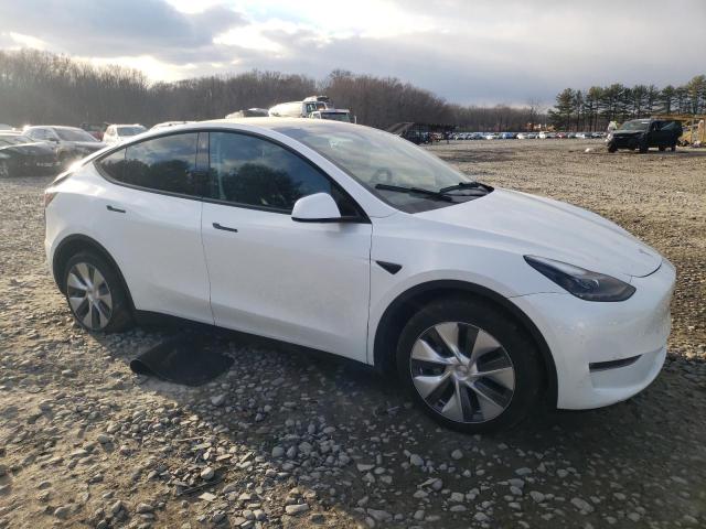 2023 TESLA MODEL Y - 7SAYGAEE7PF749059