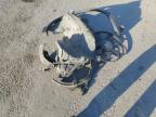 Lot #3023735914 2018 NISSAN ROGUE SPOR