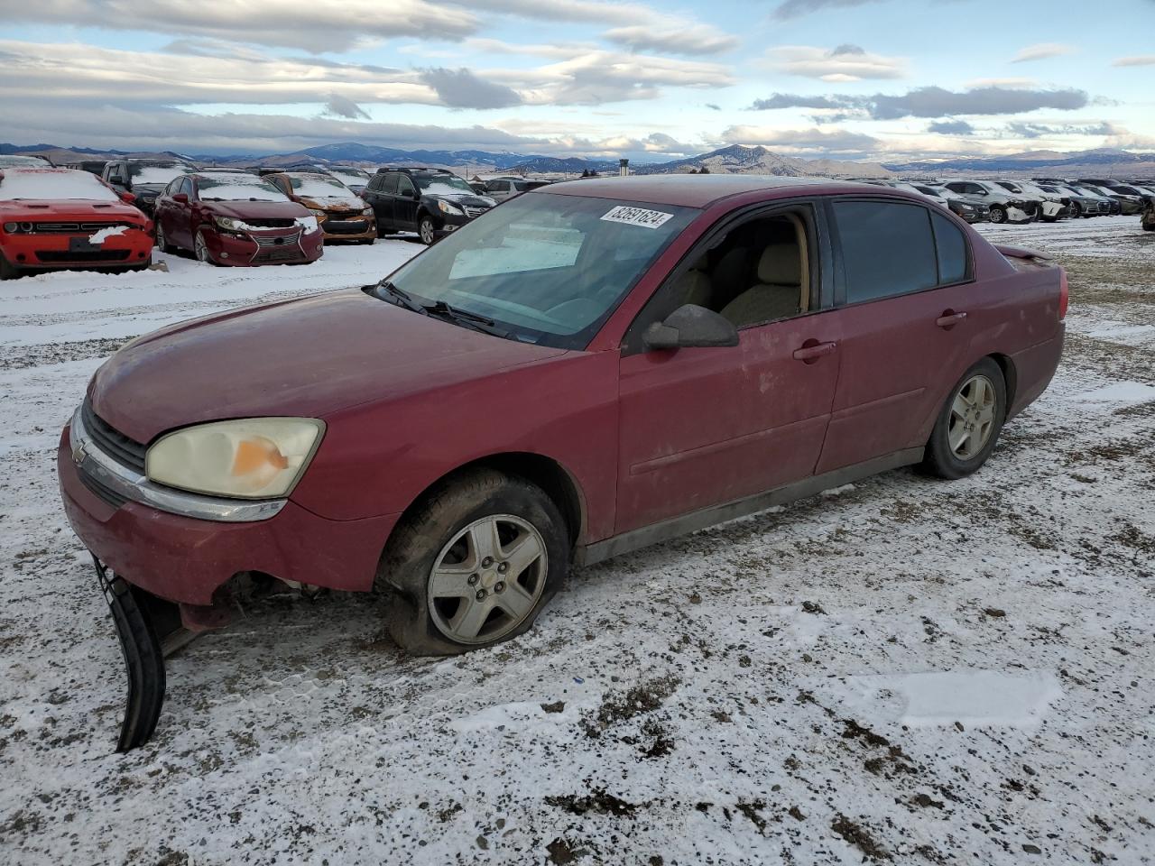 Global Auto Auctions