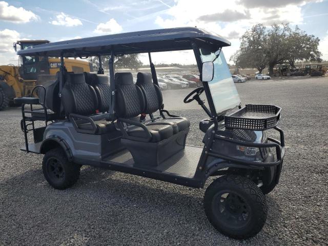 ASPT GOLF CART 2023 gray   FLA127917 photo #1