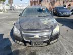 Lot #3029907250 2009 CHEVROLET MALIBU 1LT