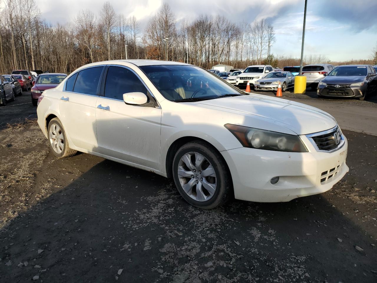 Lot #3052434880 2008 HONDA ACCORD EXL