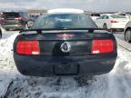 Lot #3024327045 2006 FORD MUSTANG