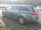 HONDA ODYSSEY EX снимка