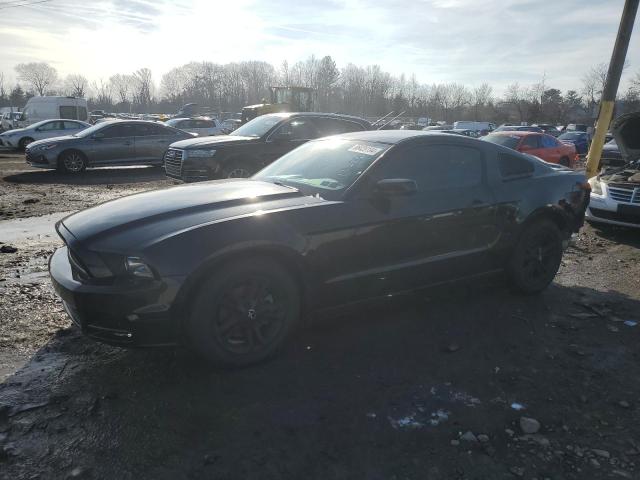 2014 FORD MUSTANG #3038104189