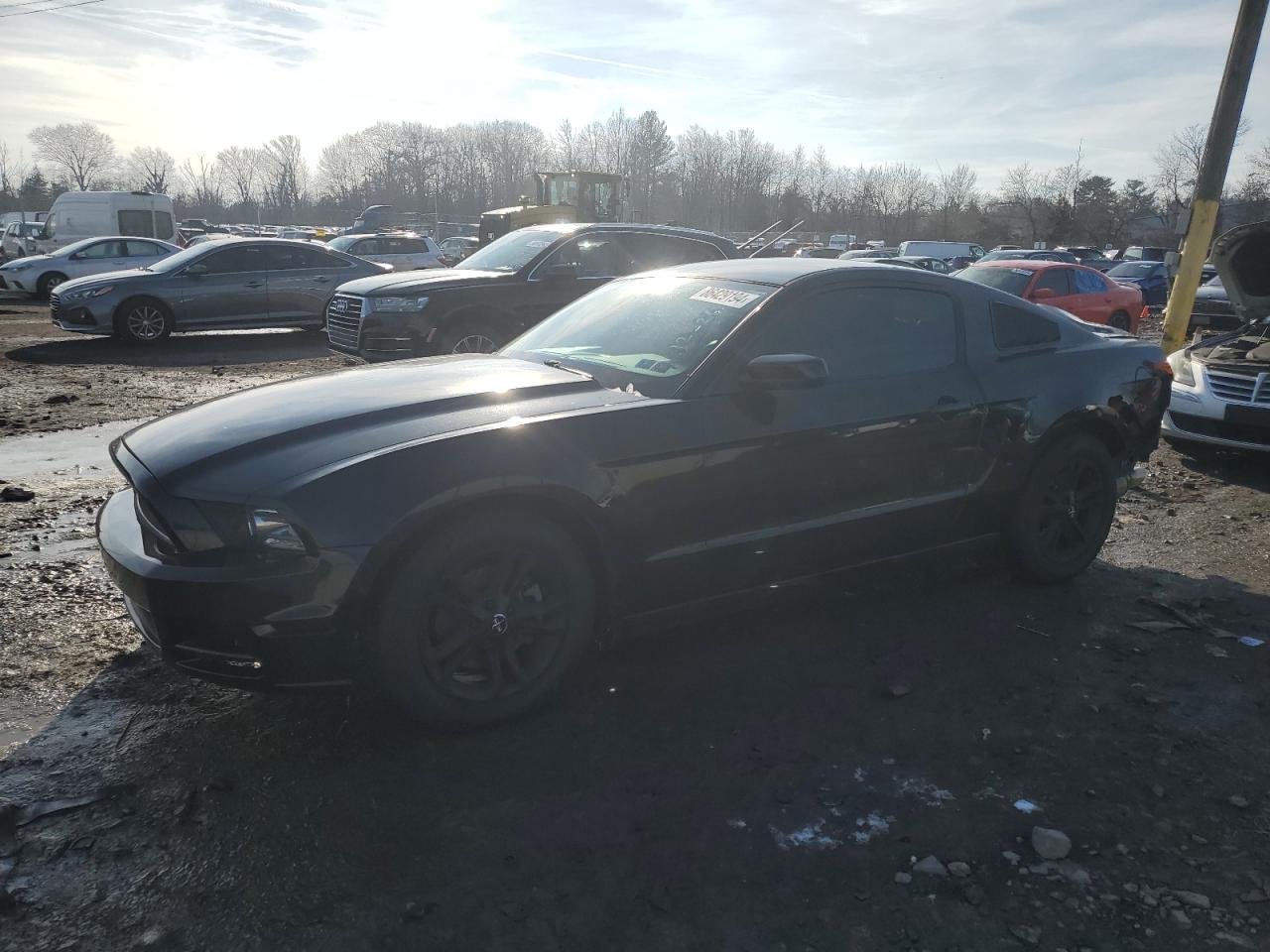 Lot #3038104189 2014 FORD MUSTANG