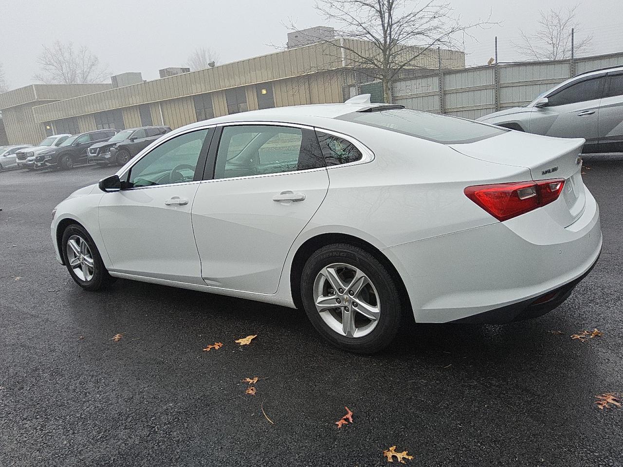 Lot #3030557833 2023 CHEVROLET MALIBU LT