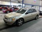 Lot #3041810452 2003 HONDA ACCORD EX