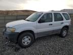 Lot #3024659614 2007 FORD ESCAPE XLS