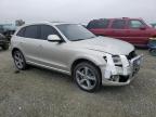 Lot #3030519472 2014 AUDI Q5 TDI PRE